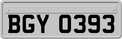 BGY0393