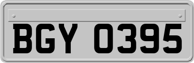 BGY0395