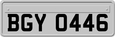 BGY0446