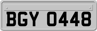 BGY0448