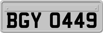 BGY0449