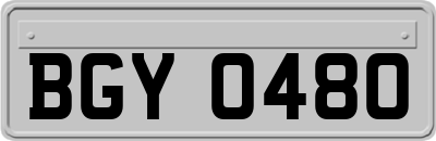 BGY0480