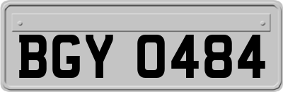BGY0484