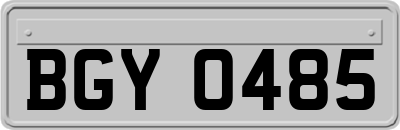 BGY0485