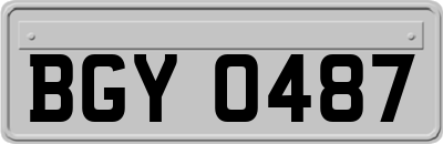 BGY0487