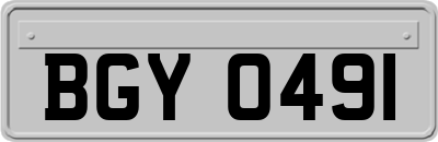 BGY0491