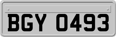 BGY0493