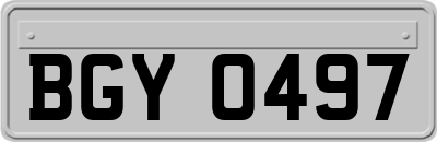 BGY0497