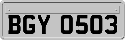 BGY0503