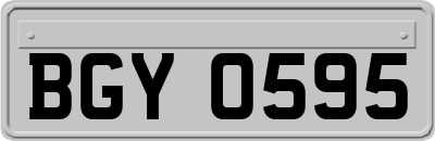 BGY0595