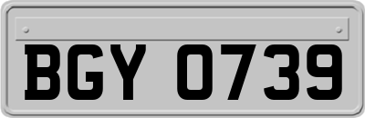 BGY0739