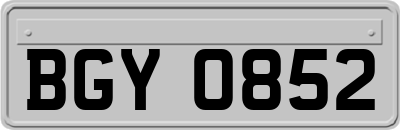 BGY0852