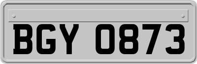 BGY0873