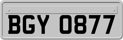 BGY0877