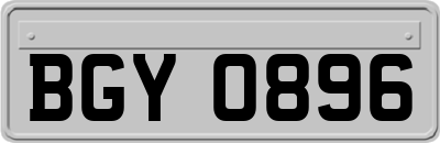 BGY0896