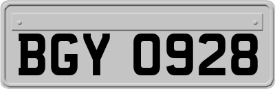 BGY0928
