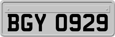 BGY0929