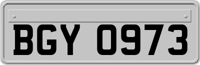 BGY0973