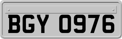 BGY0976
