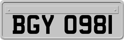 BGY0981