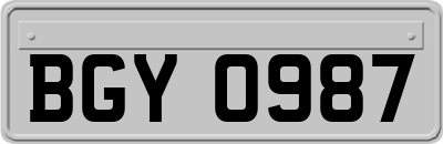 BGY0987