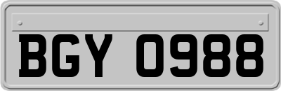 BGY0988