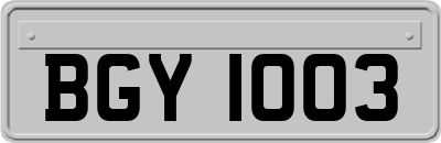 BGY1003