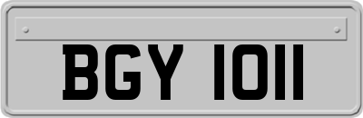BGY1011