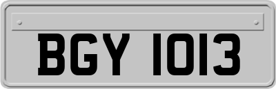 BGY1013