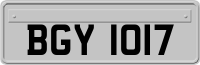 BGY1017