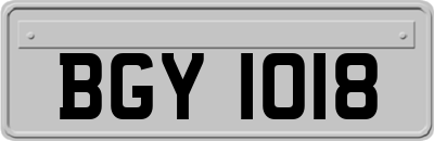 BGY1018