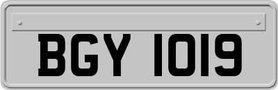 BGY1019