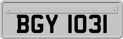 BGY1031