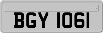BGY1061