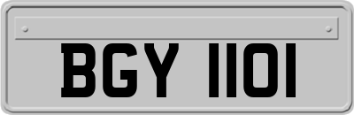 BGY1101