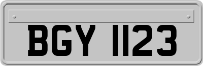 BGY1123