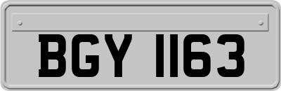 BGY1163