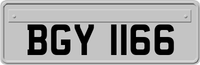 BGY1166