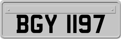 BGY1197