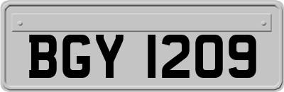 BGY1209