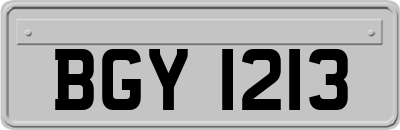 BGY1213