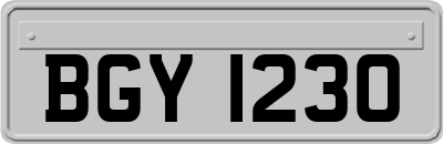 BGY1230