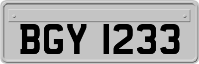 BGY1233