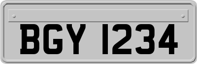 BGY1234