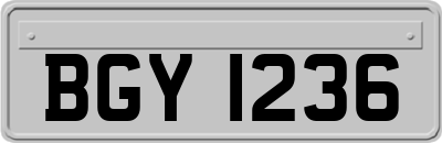 BGY1236