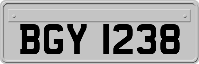 BGY1238