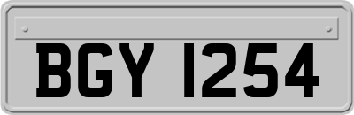 BGY1254