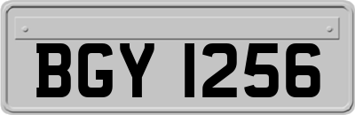 BGY1256