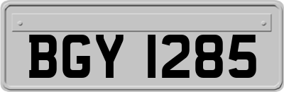 BGY1285