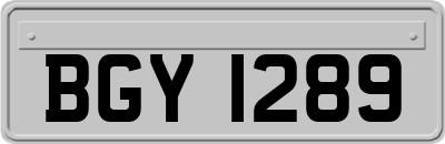BGY1289